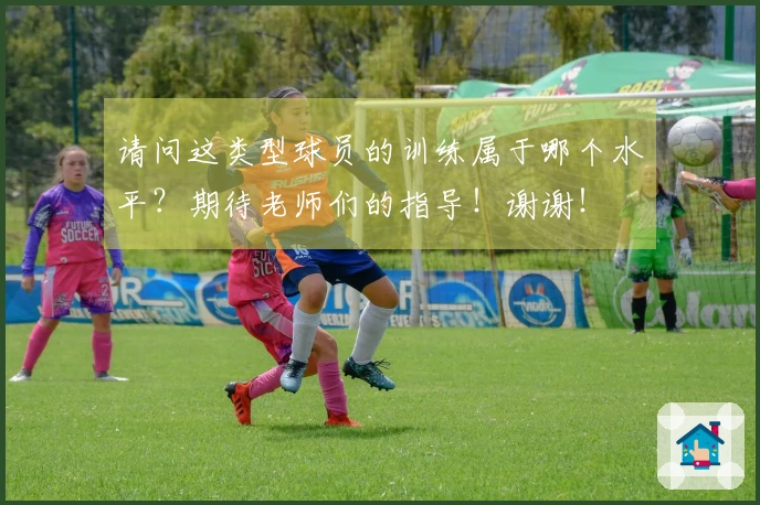 请问这类型球员的训练属于哪个水平？期待老师们的指导！谢谢！