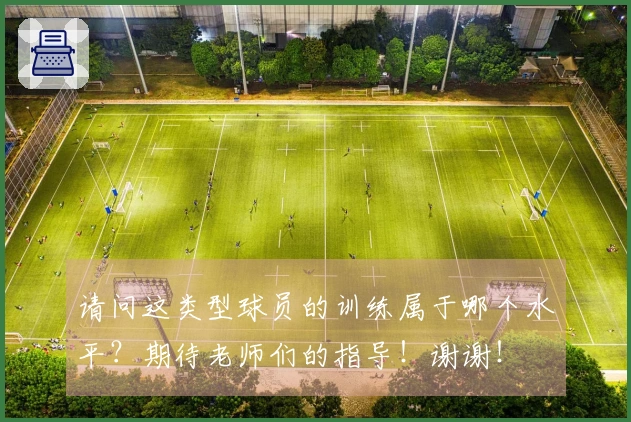 请问这类型球员的训练属于哪个水平？期待老师们的指导！谢谢！